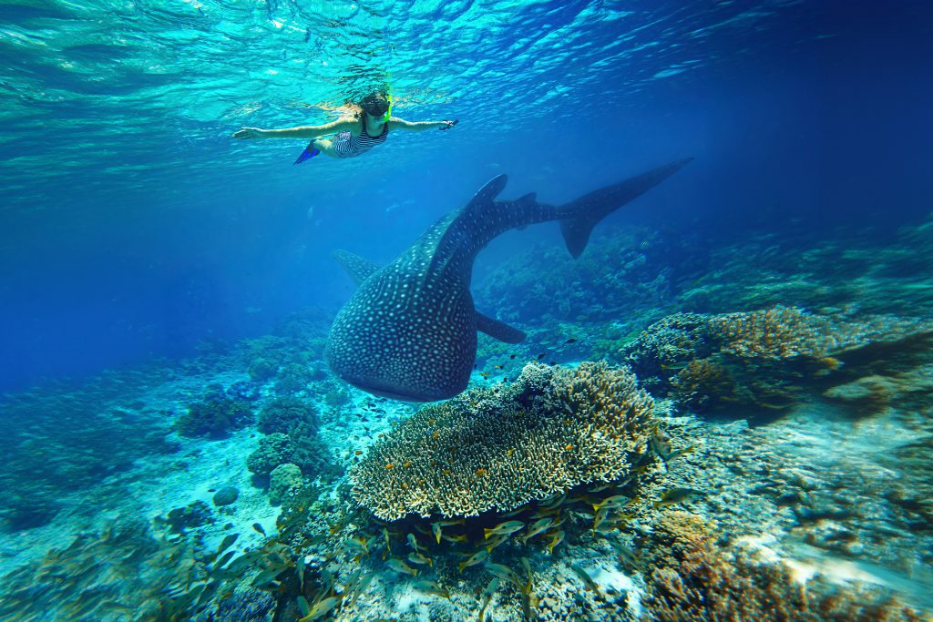 Cebu, Philippines